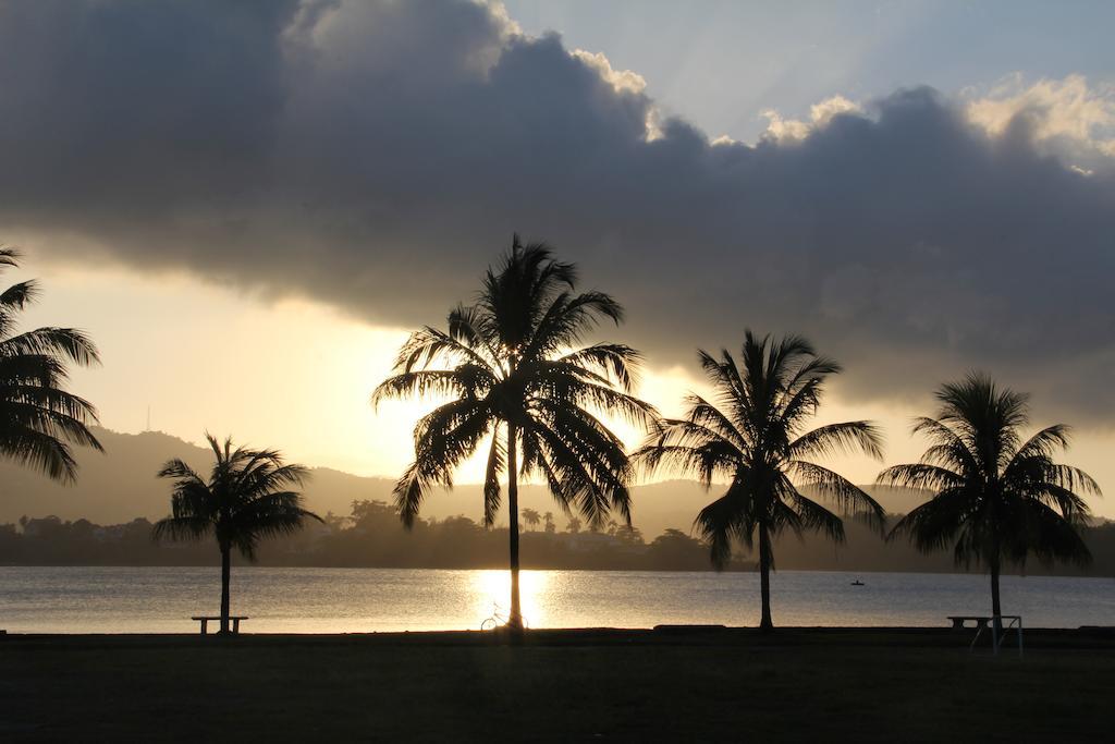 Match Resort Port Antonio Buitenkant foto